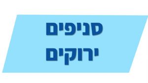 תוכנית המקדמת את העשייה והעיסוק המקצועי והחינוכי בקיימות בתנועות הנוער