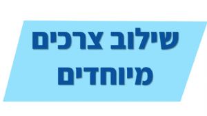 השתלבות ילדים ונוער עם מוגבלות