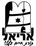 אריאל